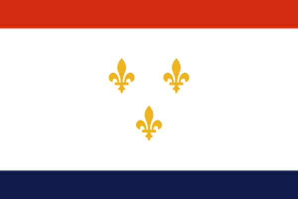 New Orleans city flag